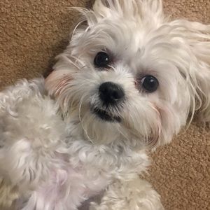 Meet your Posher, Theresa